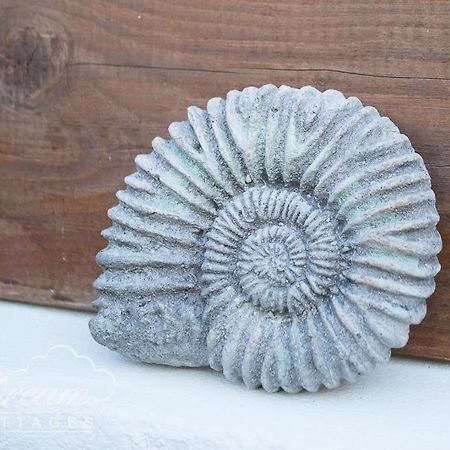 Ammonite Cottage Portland Bagian luar foto