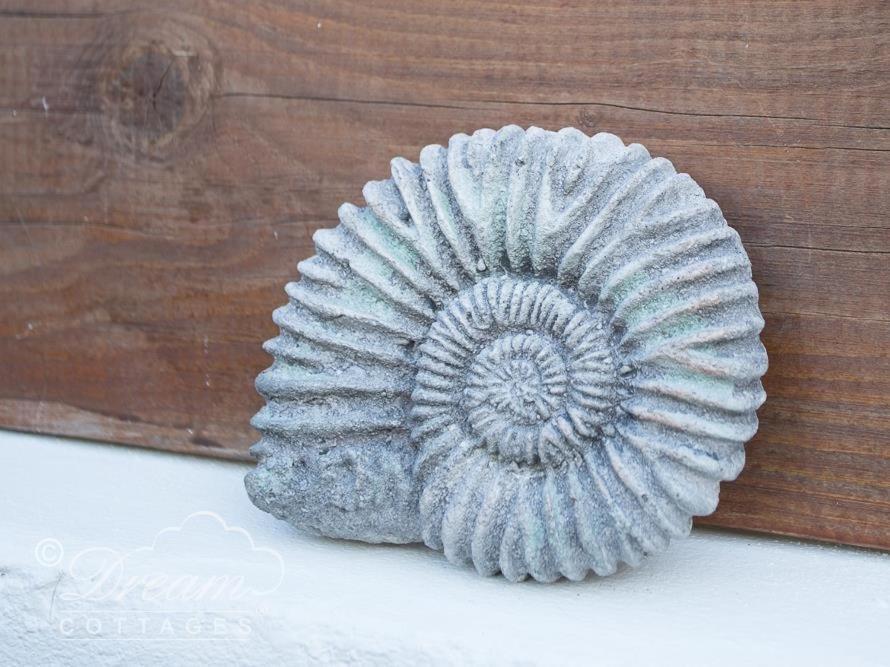 Ammonite Cottage Portland Bagian luar foto